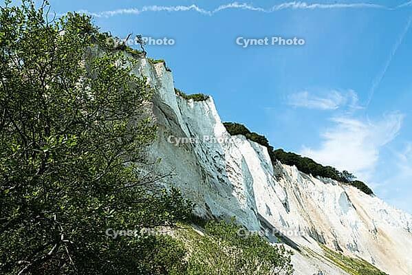 Northern Europe, Europe, Denmark, Moen, chalk cliffs, Möns Klimt, chalk coast, Baltic Sea coast, Scandinavia, chalk deposits [IBR124525356]