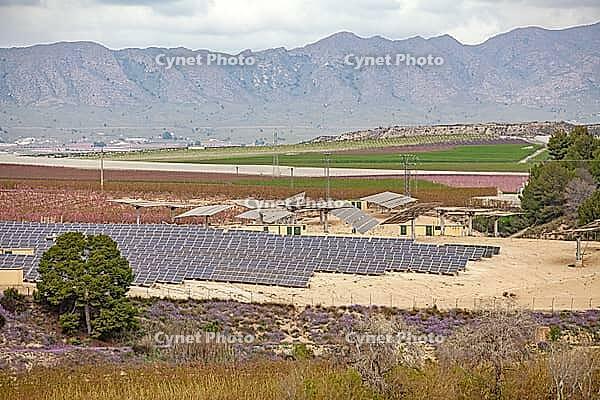 February and march are the key months for the flowering of peach and almond, an explosion of colors that covers thousand of acres in the province of Murcia [IBR124525385]
