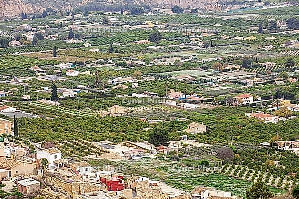 Mula is a whealthy village that lives mainly upon the farming of peach, almond and other fruits in the region of Murcia, Mula, Murcia, Spain [IBR124525387]