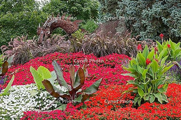 Colourful flower and plant arrangement with a dragon sculpture, Westwood Park, Dorval, Province of Quebec, Canada [IBR124525390]
