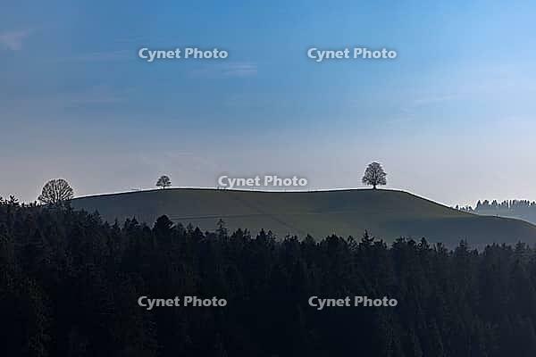 Drumlin near Waltrigen, Dürrenroth, Emmental, Bern, Switzerland [IBR124525412]