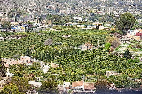 Mula is a whealthy village that lives mainly upon the farming of peach, almond and other fruits in the region of Murcia, Mula, Murcia, Spain [IBR124525438]