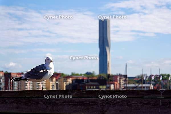 The tallest building in Scandinavia Karlatornet skycraper in Lindholmen, Gothenburg, Sweden [IBR124525443]