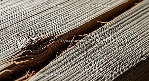Detailed view of textured wood showing a split with visible fibers, construction materials failure concept, AI generated [IBR124550768]