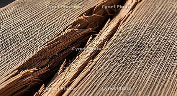 Close-up of cracked wood with visible fibers and grain, construction materials failure concept, AI generated [IBR124550784]
