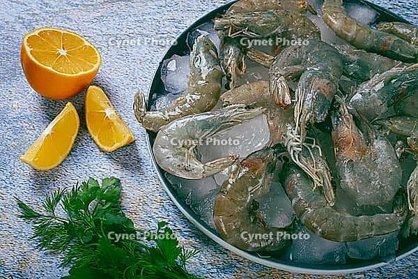 Fresh raw shrimp, spread on ice with lemon and cilantro slices on a marble surface, ready to cook, no people [IBR124552234]