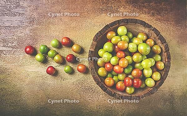 Cherry plum tkemali, fruit, plum variety, in a wooden plate, Georgian cuisine, top view, no people [IBR124552238]