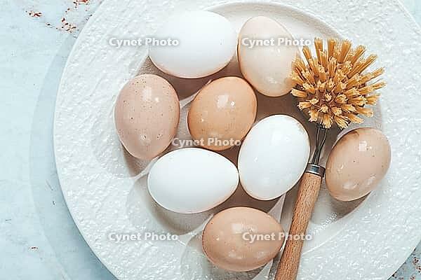 The concept of health care, the fight against salmaniasis, washed chicken eggs, on a white plate, next to a washing brush [IBR124552244]