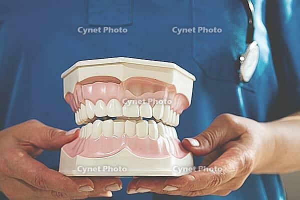 Dentist holds in his hands, dental model of teeth, in the clinic, natural light [IBR124552258]