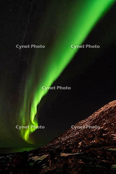 Northern Lights (Aurora borealis), S$00F6r$00F6ya, Finnmark, Norway, December 2018 [IBR124563514]