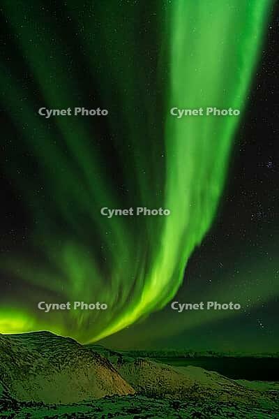 Northern Lights (Aurora borealis), S$00F6r$00F6ya, Finnmark, Norway, December 2018 [IBR124563517]
