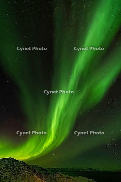 Northern Lights (Aurora borealis), S$00F6r$00F6ya, Finnmark, Norway, December 2018 [IBR124563518]