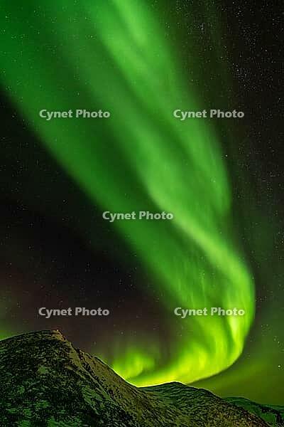 Northern Lights (Aurora borealis), S$00F6r$00F6ya, Finnmark, Norway, December 2018 [IBR124563519]