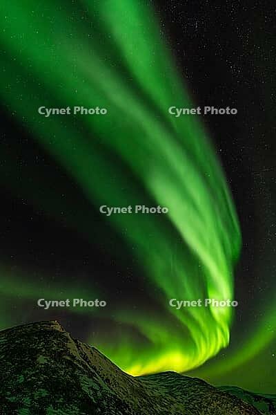 Northern Lights (Aurora borealis), S$00F6r$00F6ya, Finnmark, Norway, December 2018 [IBR124563520]