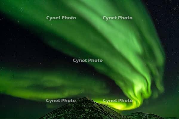 Northern Lights (Aurora borealis), S$00F6r$00F6ya, Finnmark, Norway, December 2018 [IBR124563521]