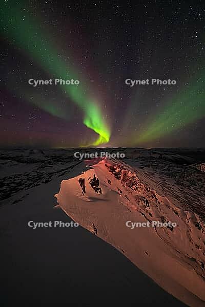Northern Lights (Aurora borealis), S$00F6r$00F6ya, Finnmark, Norway, December 2018 [IBR124563526]