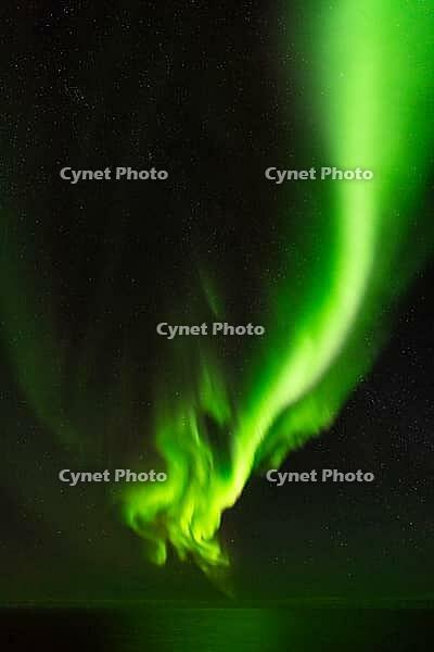 Northern Lights (Aurora borealis) over the Norwegian Sea, S$00F6r$00F6ya, Finnmark, Norway, December 2018 [IBR124563533]
