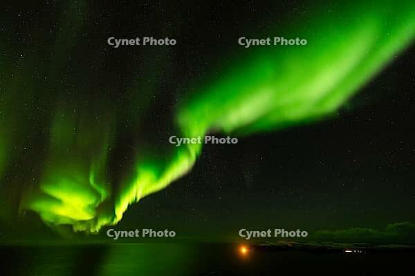 Northern Lights (Aurora borealis) over the Norwegian Sea, S$00F6r$00F6ya, Finnmark, Norway, December 2018 [IBR124563534]