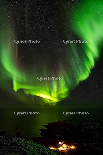 Northern Lights (Aurora borealis) over the Norwegian Sea, S$00F6r$00F6ya, Finnmark, Norway, December 2018 [IBR124563537]