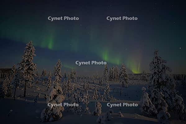 Northern Lights (Aurora borealis) over moonlit winter landscape, Nattavaara, Norrbotten, Lapland, Sweden, November 2023 [IBR124563544]