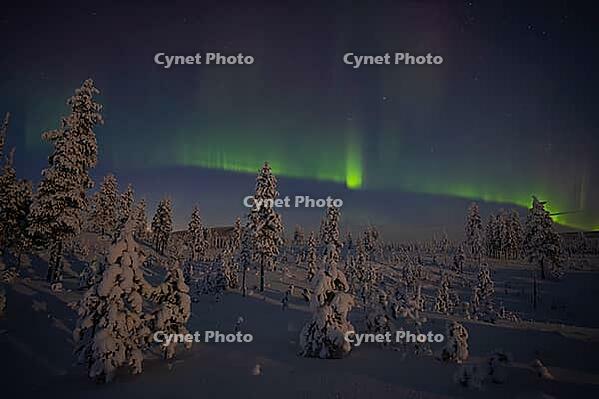 Northern Lights (Aurora borealis) over moonlit winter landscape, Nattavaara, Norrbotten, Lapland, Sweden, November 2023 [IBR124563545]