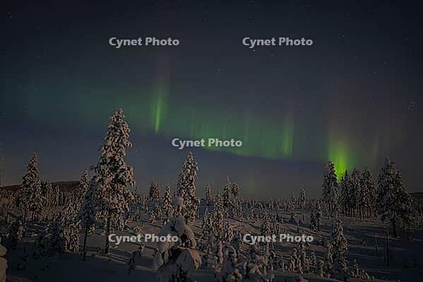 Northern Lights (Aurora borealis) over moonlit winter landscape, Nattavaara, Norrbotten, Lapland, Sweden, November 2023 [IBR124563547]