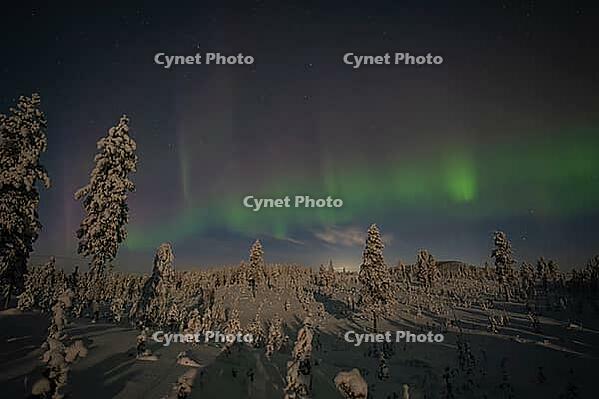 Northern Lights (Aurora borealis) over moonlit winter landscape, Nattavaara, Norrbotten, Lapland, Sweden, November 2023 [IBR124563549]