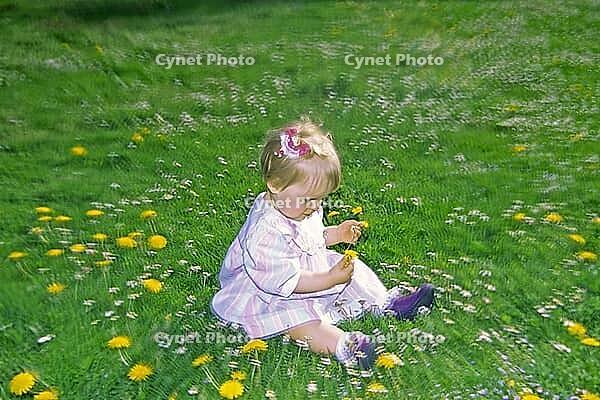 Auf der Wiese [IBR124585260]