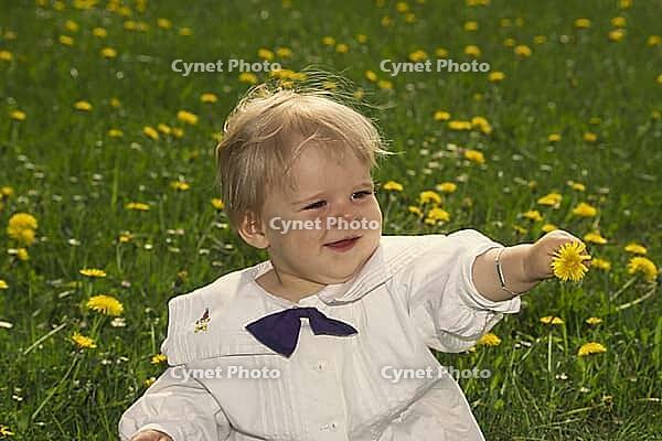 Auf der Wiese [IBR124585266]