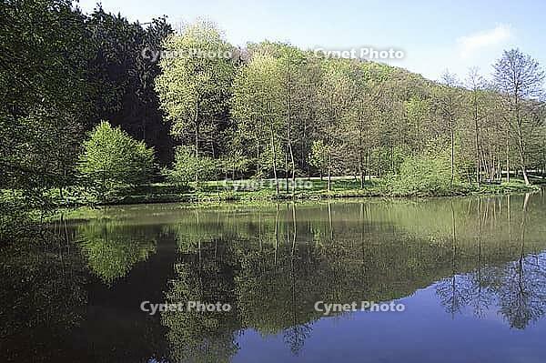 Bad Iburg, Osnabrücker Land pond landscape in spring [IBR124585281]