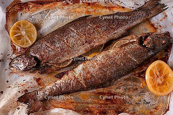 Two fish are being cooked on a baking sheet in a home kitchen. Lemon slices are placed beside the fish to add flavor. The dish shows grill marks and a brown color from baking [IBR124585332]