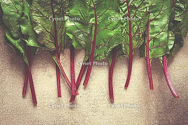Fresh, green leaves, stem with beet leaves, on the table, top view, rustic, no people [IBR124585333]
