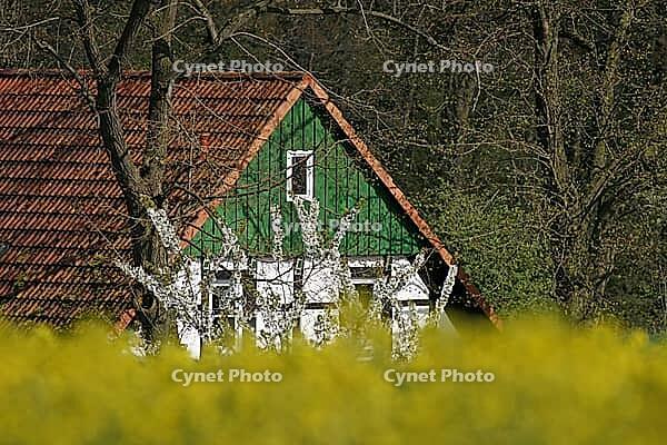 Farm with rapeseed field in Georgsmarienhütte, Osnabrücker Land, Lower Saxony [IBR124585387]