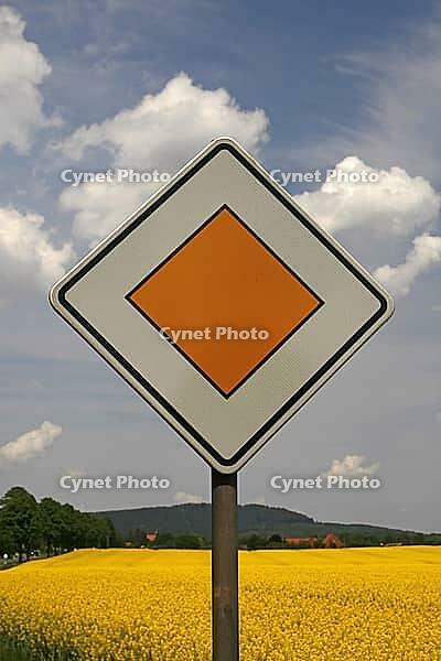 Bad Iburg, main road with rapeseed field [IBR124585398]