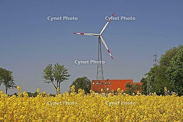Rafsfeld with wind turbine near Bad Iburg in the Osnabrück region, Lower Saxony [IBR124585403]