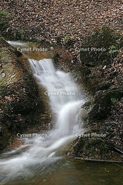 Kleiner Bach am Kasinopark in Georgsmarienhütte, Osnabrücker Land, Lower Saxony [IBR124585407]