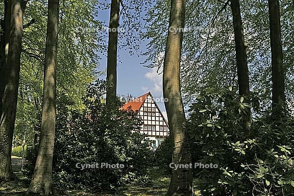Bad Iburg, half-timbered house in the forest, Osnabrücker Land, Lower Saxony [IBR124585410]