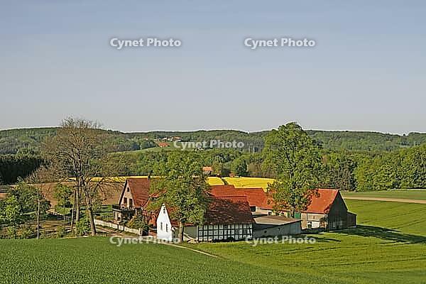 Hof in Borgloh [IBR113148546]