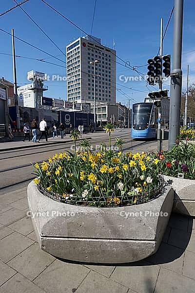 Blumenkübel am central railway station, Munich, flowers, spring, April, tram, road traffic, urban, big city, Bavaria, Germany [IBR124585433]
