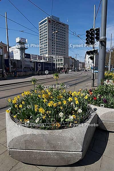 Blumenkübel am central railway station, Munich, flowers, spring, April, tram, road traffic, urban, big city, Bavaria, Germany [IBR124585437]