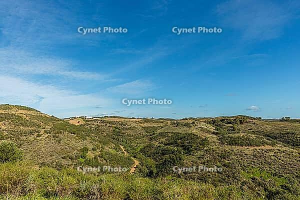 Beautiful countryside view along the road leading to Moinho das Amendoeiras in Algarve, Portugal. Rolling hills, lush greenery, and a peaceful rural landscape capture the charm of southern Portugal [IBR124586571]