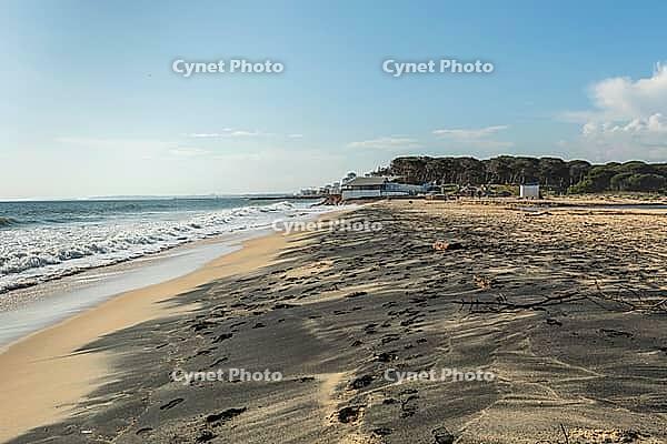 Wide sandy beach in Quarteira, Algarve, Portugal with visible footprints leading along the shoreline and gentle waves of the Atlantic Ocean. Peaceful coastal scene with clear blue sky, natural light, and distant buildings, ideal for travel and seaside con [IBR124586572]