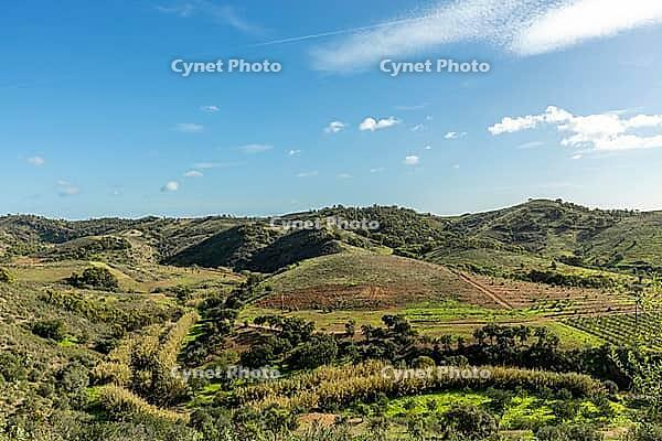 Beautiful countryside view along the road leading to Moinho das Amendoeiras in Algarve, Portugal. Rolling hills, lush greenery, and a peaceful rural landscape capture the charm of southern Portugal [IBR124586576]