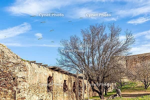 Interior view of the historic Castelo de Castro Marim in the Algarve region of southern Portugal, showcasing medieval architecture and cultural heritage [IBR124586600]