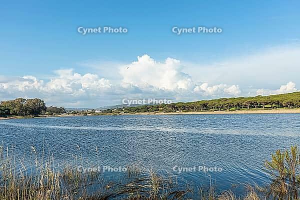 Beautiful natural landscape in Quarteira, Algarve, Portugal featuring a calm lagoon, and lush green vegetation under a clear blue sky. Peaceful outdoor scene ideal for travel, nature, and countryside themes. Keywords [IBR124586606]