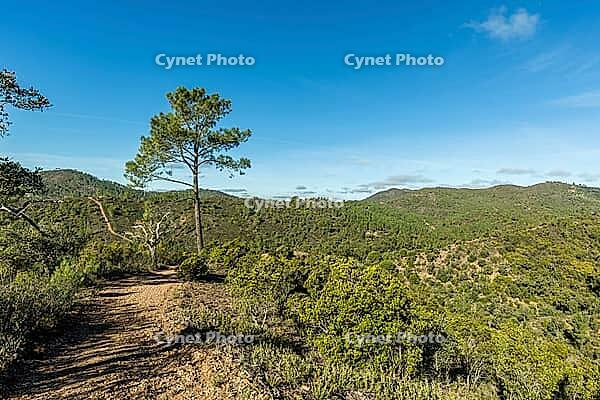 Scenic walking trails winding through the natural landscape of Fonte Férrea in São Brás de Alportel, Algarve, Portugal, offering a peaceful setting for outdoor trips, hiking, and nature exploration [IBR124586613]
