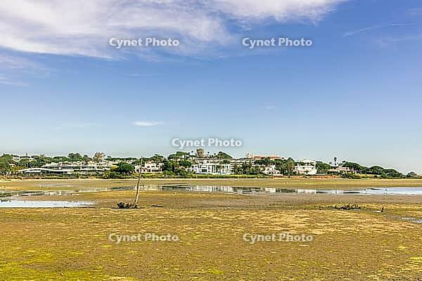 Scenic view of a tranquil coastal lagoon in Quinta do Lago, Algarve, Portugal, featuring shallow waters, natural vegetation, and wading birds under a clear blue sky [IBR124586630]