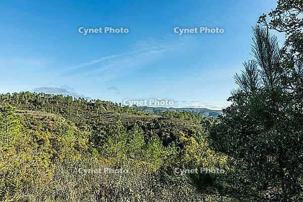 Scenic walking trails winding through the natural landscape of Fonte Férrea in São Brás de Alportel, Algarve, Portugal, offering a peaceful setting for outdoor trips, hiking, and nature exploration [IBR124586645]