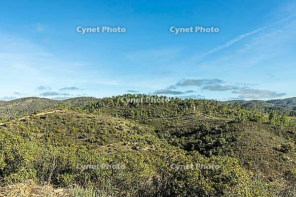 Scenic walking trails winding through the natural landscape of Fonte Férrea in São Brás de Alportel, Algarve, Portugal, offering a peaceful setting for outdoor trips, hiking, and nature exploration [IBR124586647]
