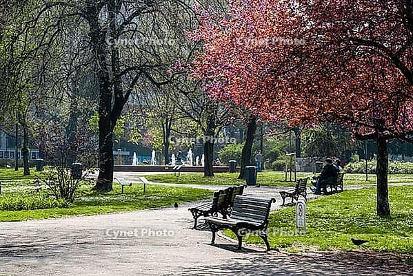 Belgrade, Serbia - March 29, 2014 - Tranquil spring park scene with benches and blossoming trees [IBR124626830]